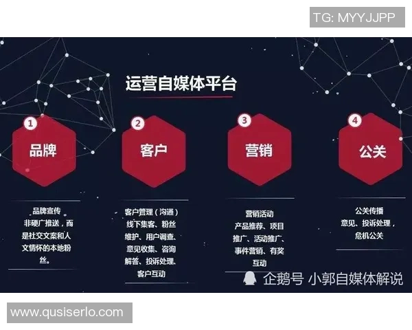 上海篮球队运营分析：成败得失与未来发展策略探讨