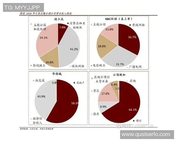 上海羽毛球队在杯赛中的团队协作表现分析与启示